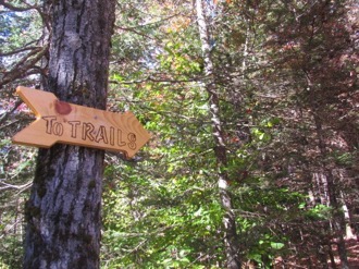 Tamarack Hollow NatureTo-Trail-Sign-15